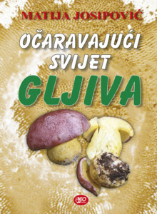 ocaravajuci-svijet-gljiva-1